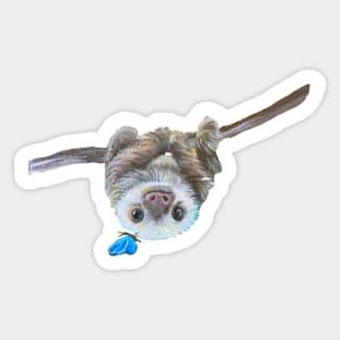 Baby sloth Sticker